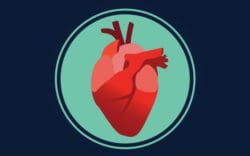 Quitting Timeline Quiz - heart