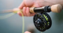 Top 10 Tips to Reduce Stress During the Holidays