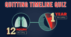 Quitting timeline quiz: from 12 hours to 1 year.