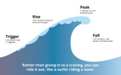 Rather than giving in to a craving, you can ride it out, like a surfer riding a wave.