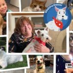 Story Of Dexter And Veramae