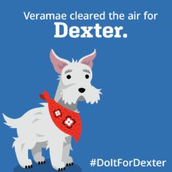 Veramae cleared the air for Dexter. #doitfordexter