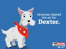 Veramae cleared the air for Dexter