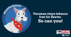Veramae stays tobacco free for Dexter. So can you!