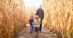 Father and his two daughters in a corn maze