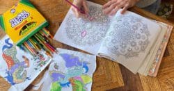 colored pencils and coloring books